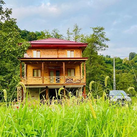Zeytin Villa Apart Ardeşen Zewnętrze zdjęcie